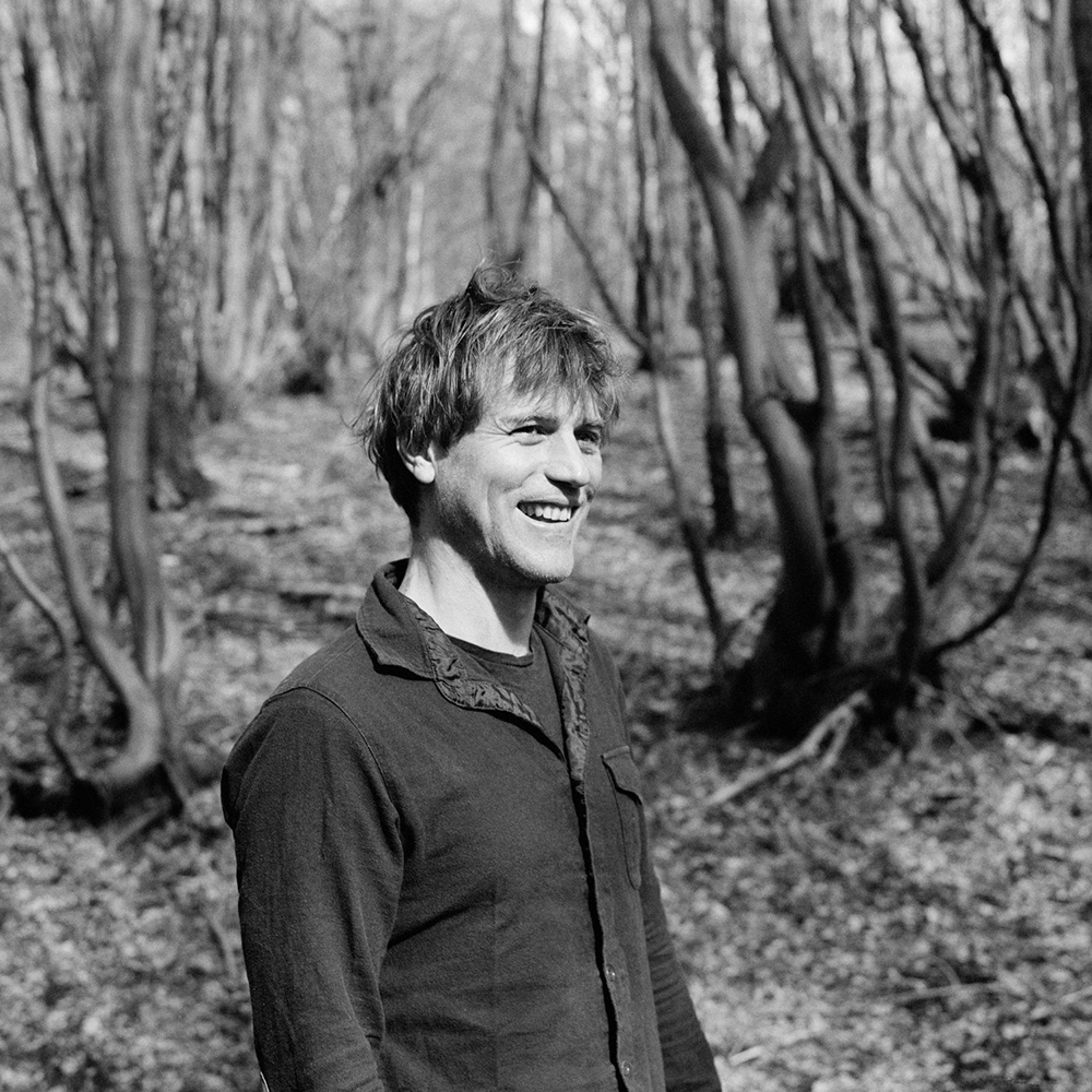 Blue Raincoat Music tweet media