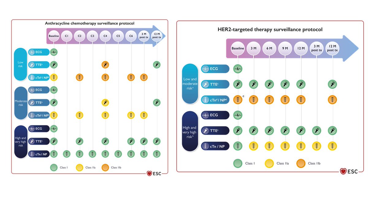 E_de_Azambuja's tweet photo. The new @escardio @HFA @ICOSociety guidelines on cardio-oncology are online @OncoAlert 
https://t.co/opPbpYkQoz https://t.co/sBAML2hxyH