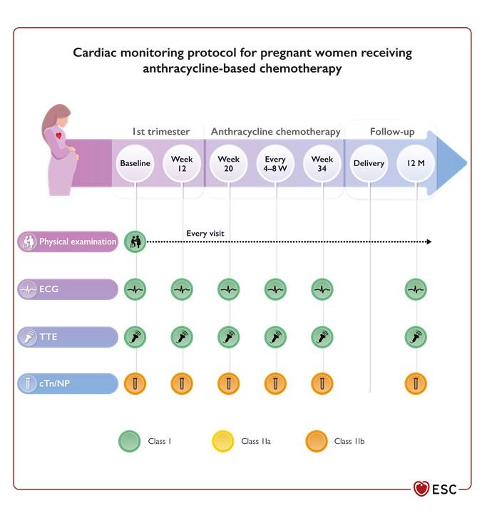 E_de_Azambuja's tweet photo. The new @escardio @HFA @ICOSociety guidelines on cardio-oncology are online @OncoAlert 
https://t.co/opPbpYkQoz https://t.co/sBAML2hxyH