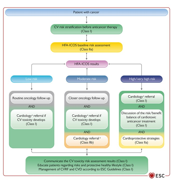 E_de_Azambuja's tweet photo. The new @escardio @HFA @ICOSociety guidelines on cardio-oncology are online @OncoAlert 
https://t.co/opPbpYkQoz https://t.co/sBAML2hxyH
