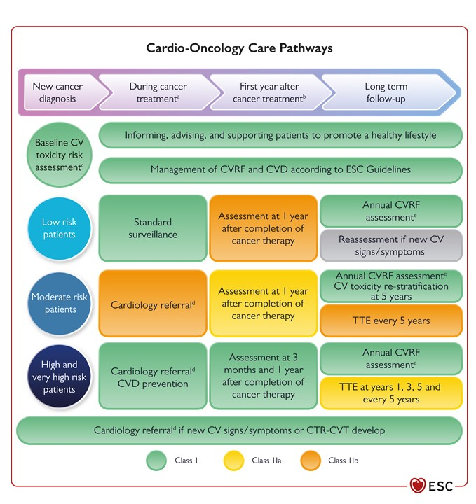 E_de_Azambuja's tweet photo. The new @escardio @HFA @ICOSociety guidelines on cardio-oncology are online @OncoAlert 
https://t.co/opPbpYkQoz https://t.co/sBAML2hxyH
