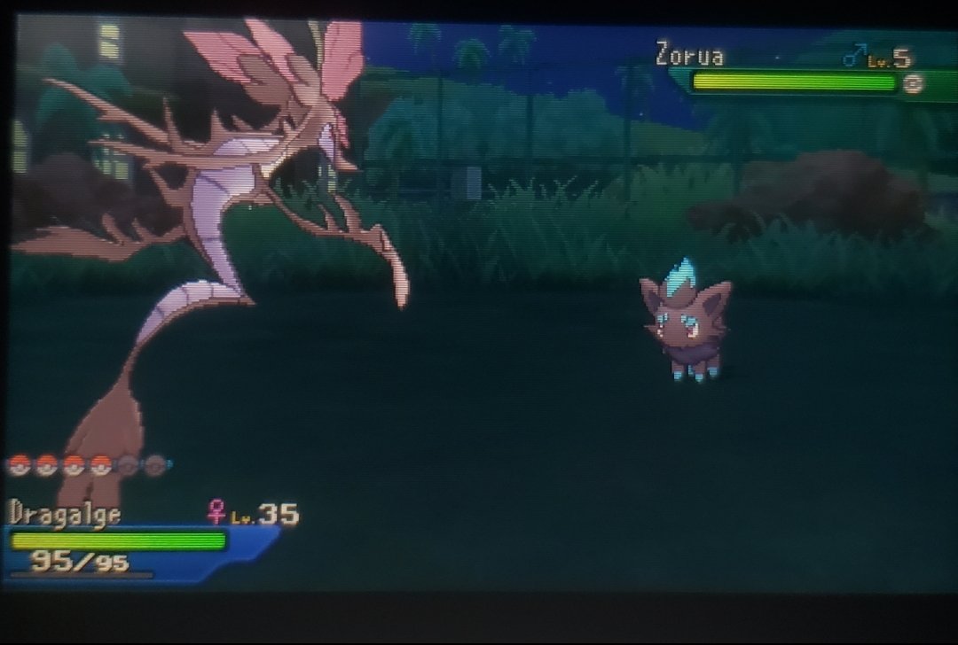 Shiny Zorua after 8659 encounters, my all-time favorite shiny pokemon!! maybe someday i will hunt the egg exclusive one in BW 🦊