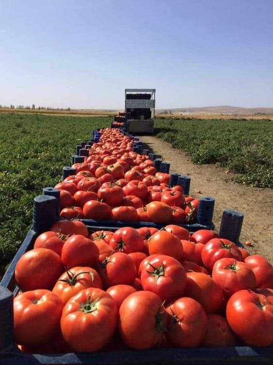 ModernAgUpdates's tweet photo. If you are interested in #Modern #Agriculture, please like and retweet. https://t.co/ystfMaOLEc