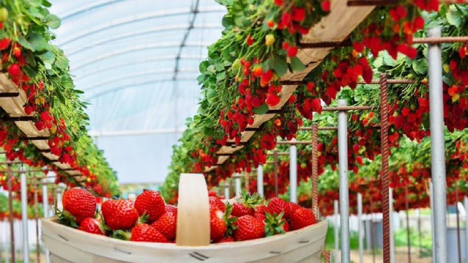 ModernAgUpdates's tweet photo. If you are interested in #Modern #Agriculture, please like and retweet. https://t.co/ystfMaOLEc