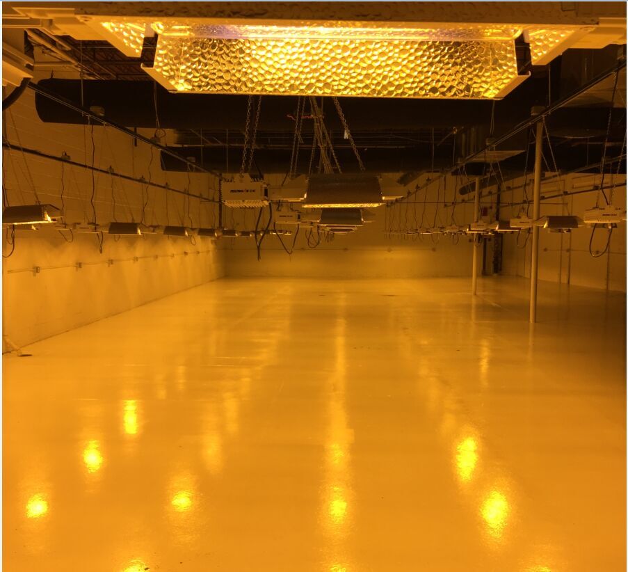 AngelaLo920920's tweet photo. Medical marijuana is so valuable that growers need to be more careful in the cultivation process. The help of LED Grow Light is also reflected in the special functionality of special models. #cannabis #ledgrowlight #growlights #fullspectrum https://t.co/ir99YyUvbo