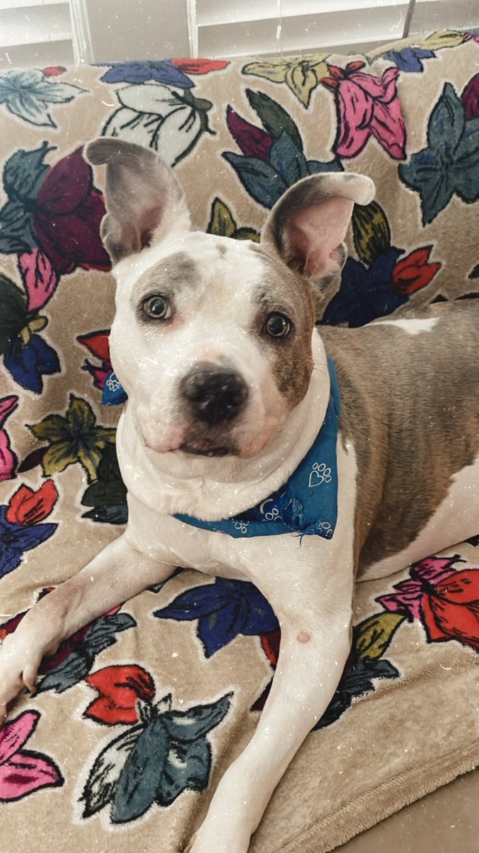 Lisa Sands tweet media