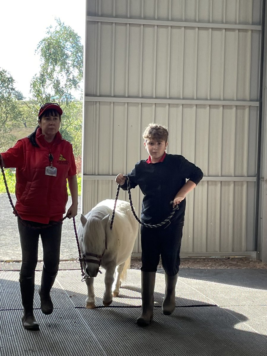 bridgendprimary's tweet photo. Back at @Ponieshelp this week. First week for some and they are doing a great job grooming and walking the ponies, becoming more confident when handling them. Well done. @Ponieshelp #learningempathy https://t.co/N0uMnKYzXq