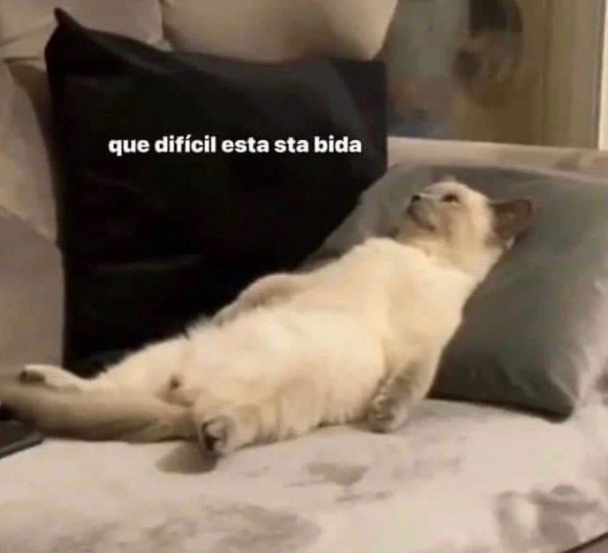 eloypach's tweet photo. Último día de agosto https://t.co/kMHdAo3fuY