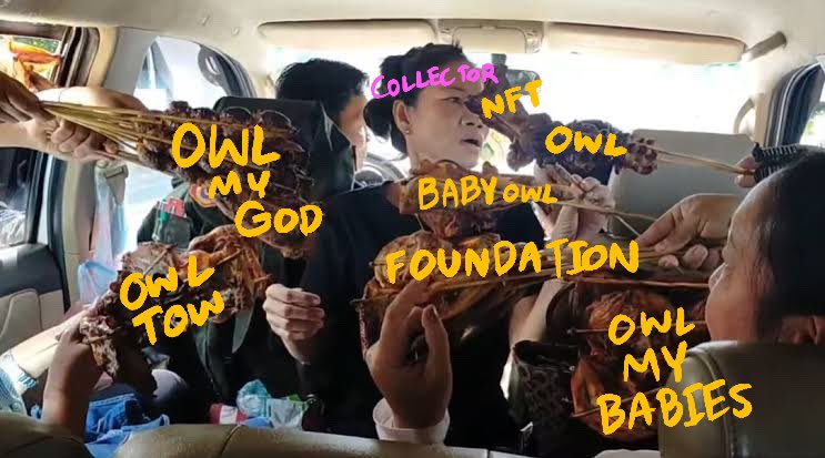 OWL MY GOD tweet media