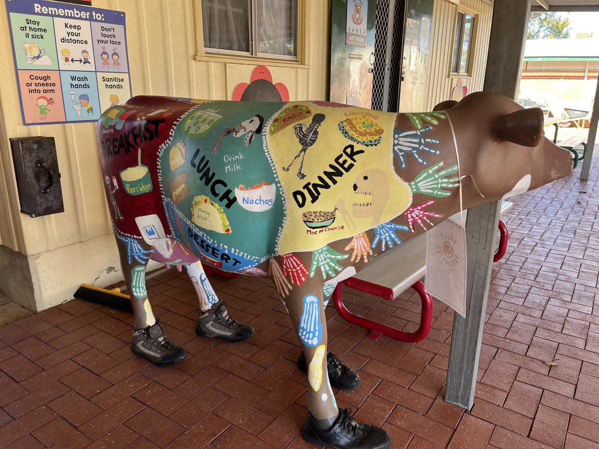 Lisa Criddle tweet media