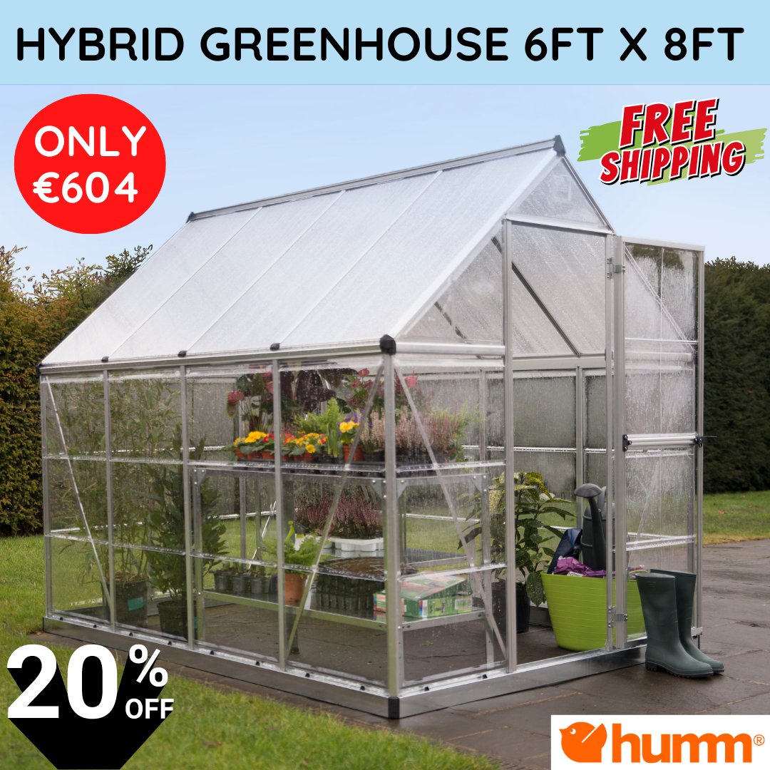 Walsh Applications tweet media