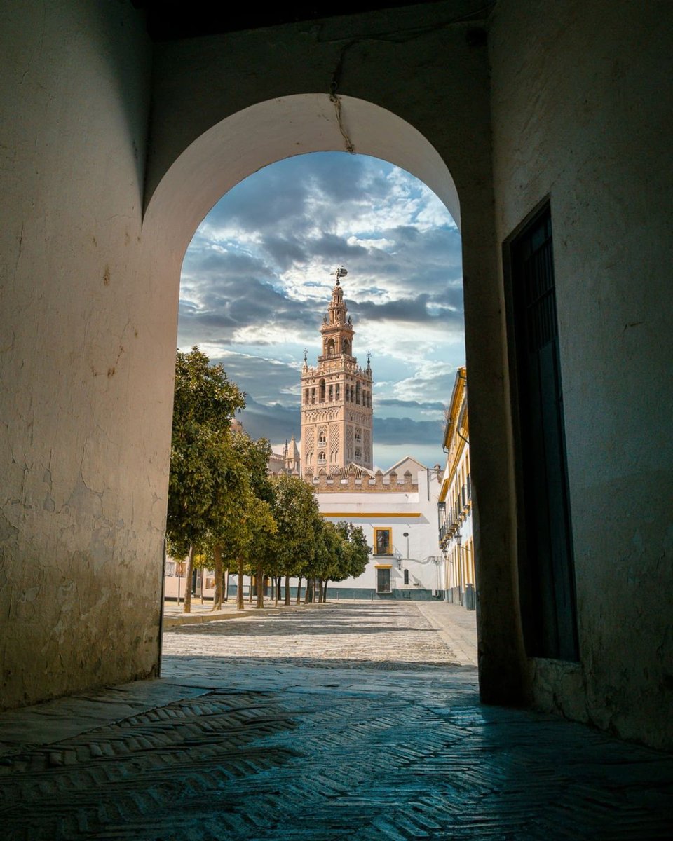 ✔ Preciosa vista de la Giralda de Sevilla 😍

Muchas gracias <a href="/fotolopz/">Miguel López</a> por la imagen

Atrévete a redescubrir España <a href="/tierra_del_sur/">KAGS</a> 👈🏽