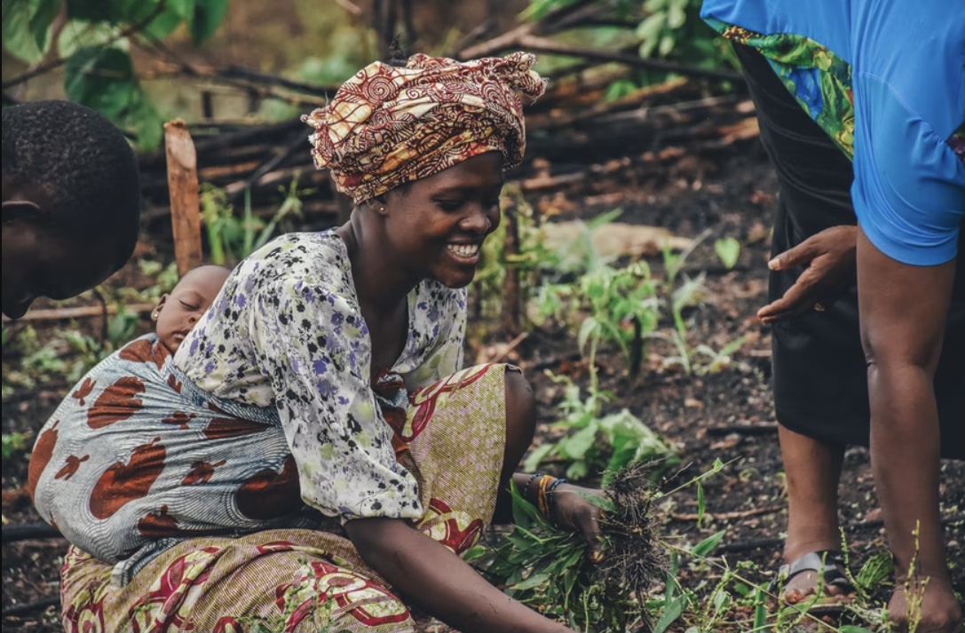 AyambeZero's tweet photo. Africans are disproportionately employed in #climate-exposed sectors: 55-62% of the sub-Saharan #workforce is employed in #agriculture and 95% of cropland is rainfed.
In rural Africa, poor and female-headed...(1/3)
#climate #sustainability #finance #ayambezero #climatechange https://t.co/XniskCcRDa