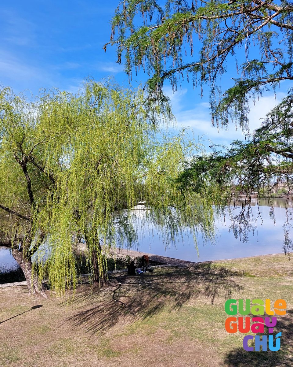 #Gualeguaychú #Turismo365 #TeEsperamos #VisitArgentina #EntreRios #Argentina