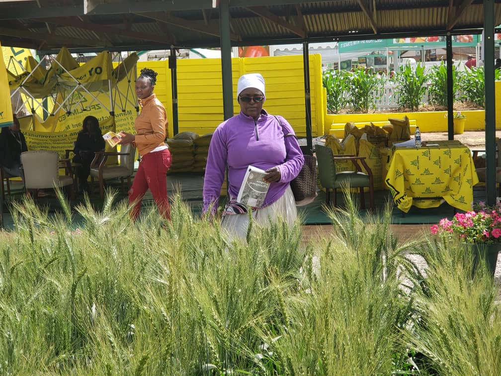 Current settings at Harare Agricultural Show 2022. Come meet our ZFC Agronomists. The farmer interactions are aimed at helping you get a better crop. 
Purchase 1 unit of ZFC Indoxa (insecticide) or 10 units of Actellic Gold Dust (grain protectant) and win a prize