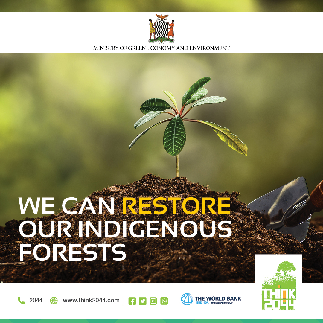 think2044's tweet photo. “What we are doing to the forests of the world is but a mirror
reflection of what we are doing to ourselves and to one another.” Mahatma Gandhi
#Think2044 #ActNowSaveTomorrow https://t.co/Qi33Prj9iq