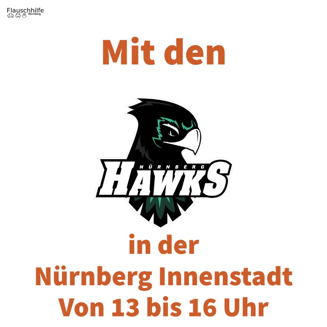 Flauschhilfe's tweet photo. Ab ca. 13 uhr sind wir mit den @nuernberg_hawks  #Live in der @nuernberg_de  #Innenstadt und sammeln #spenden für das #Tierheim und geben euch #Flyer, so dass ihr im #stream vorbei schauen könnt. https://t.co/w76HFfhysP