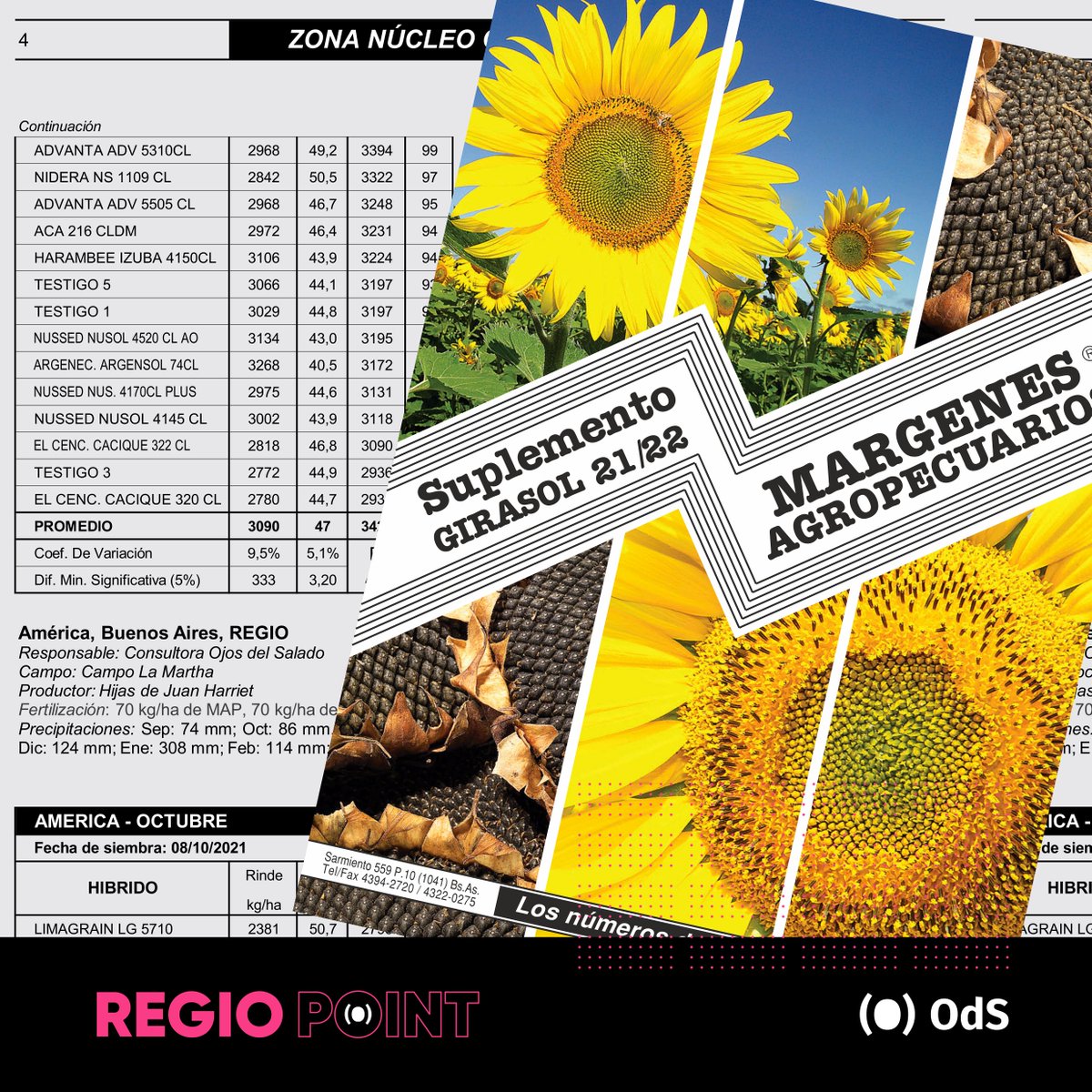 OdSagro's tweet photo. ¡Seguimos difundiendo información! 

🌻 Los datos de #RegioPoint también los encontrás en el último suplemento de @margenesagro.

 ✅ Ingresá a la web: https://t.co/sGpHpejKsE

💻 Recordá que todos nuestros informes también los encontrás https://t.co/GAgbmFzbpn

#AgroDecisiones https://t.co/MiRVMDYxKz