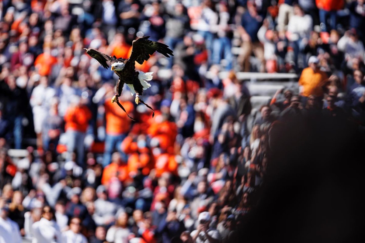atperryman's tweet photo. I’m staying in the SEC!

Excited to share that this week I’ll become the newest team photographer for @auburnfootball!

Thankful to @CoachHarsin, @BradLarrondo, @itsKellerr , and @jjwahl8 for the chance of a lifetime!

#WarEagle https://t.co/cJpJQeIyk0