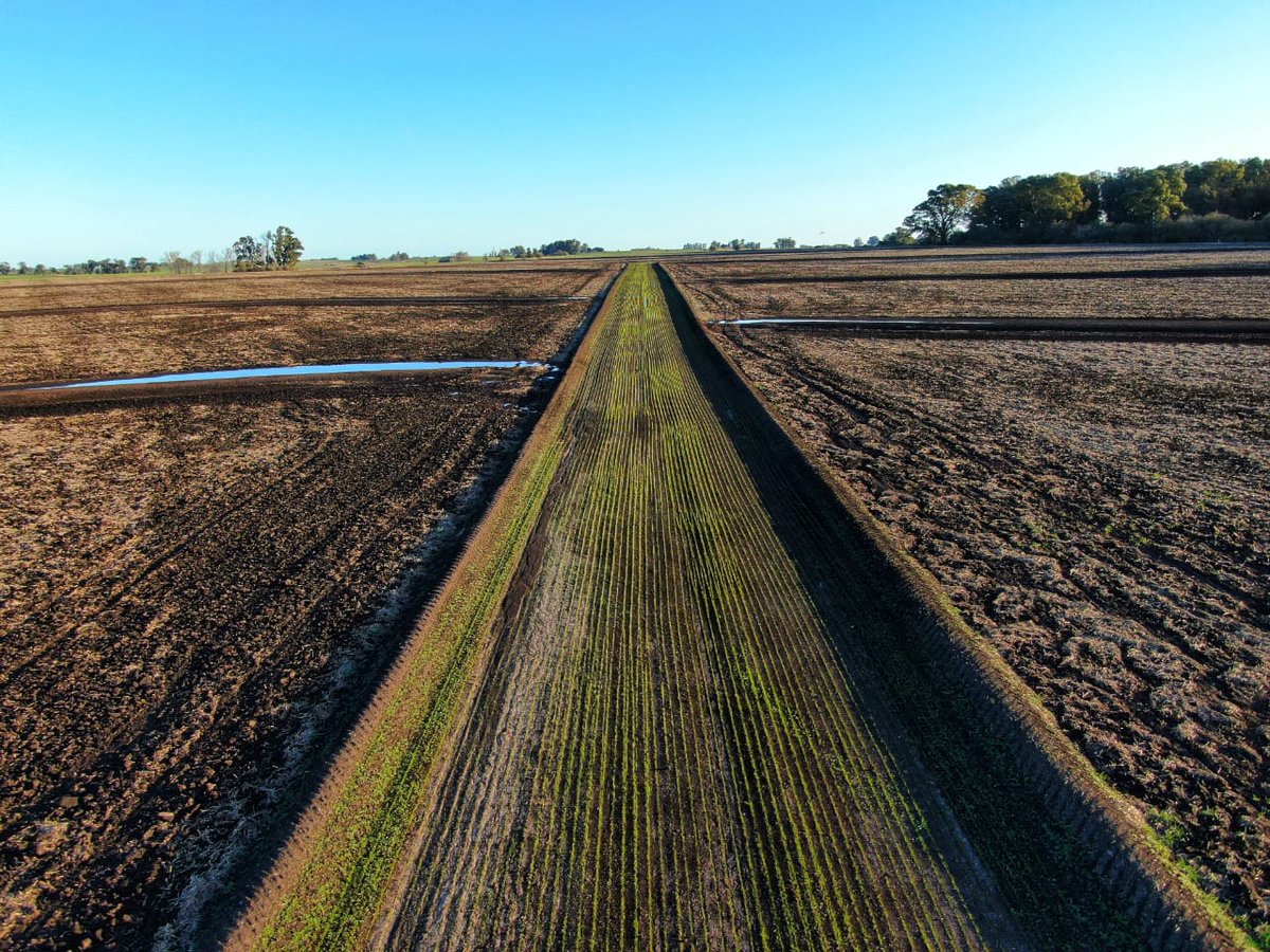 Dano Urani tweet media