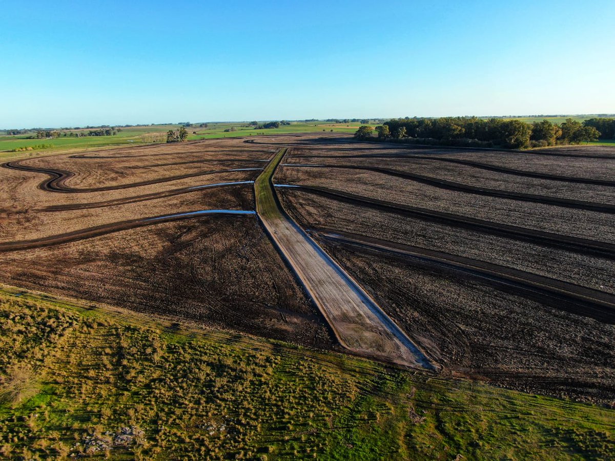 Dano Urani tweet media