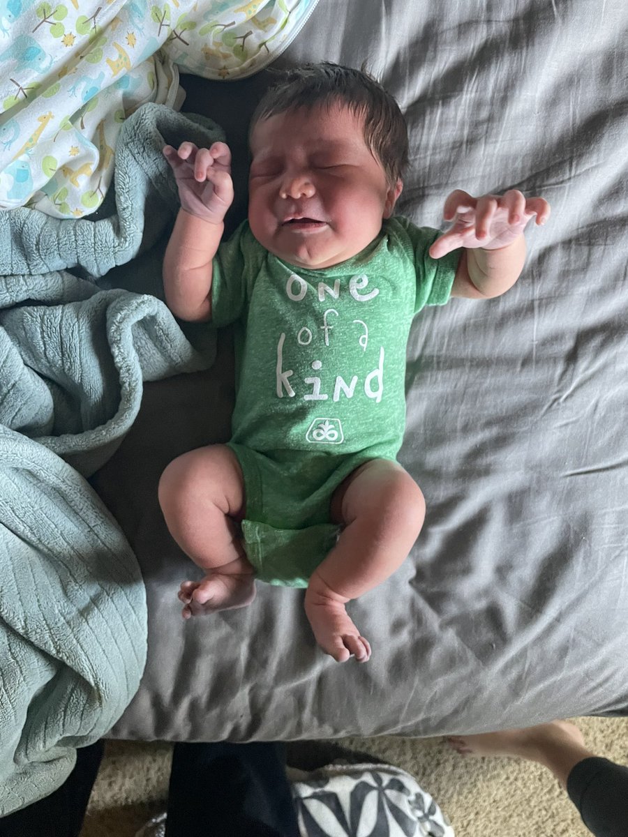 Alex Wayne tweet media