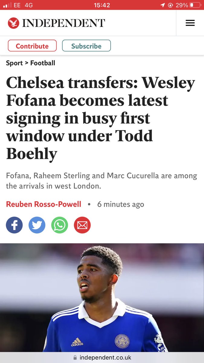 Dom Rosso tweet media