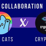 Photo by CryptoPOP Club - FREE MINT (@CryptopopC)