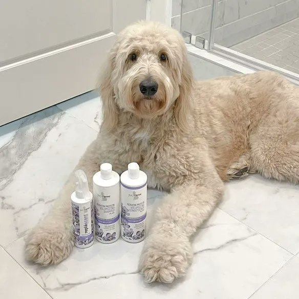 Isle of Dogs tweet media