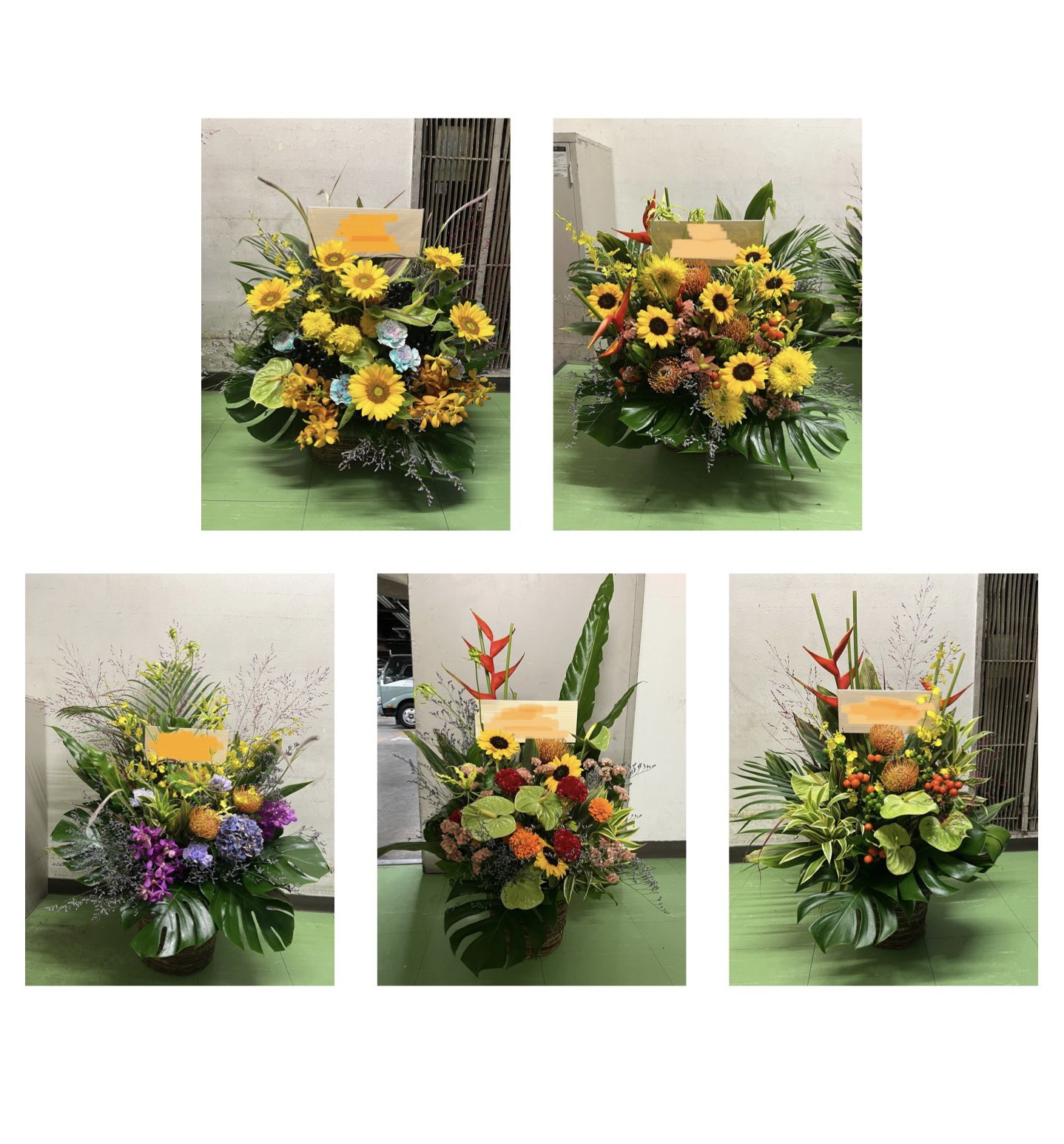 フルラージュアン Twitter Search Twitter