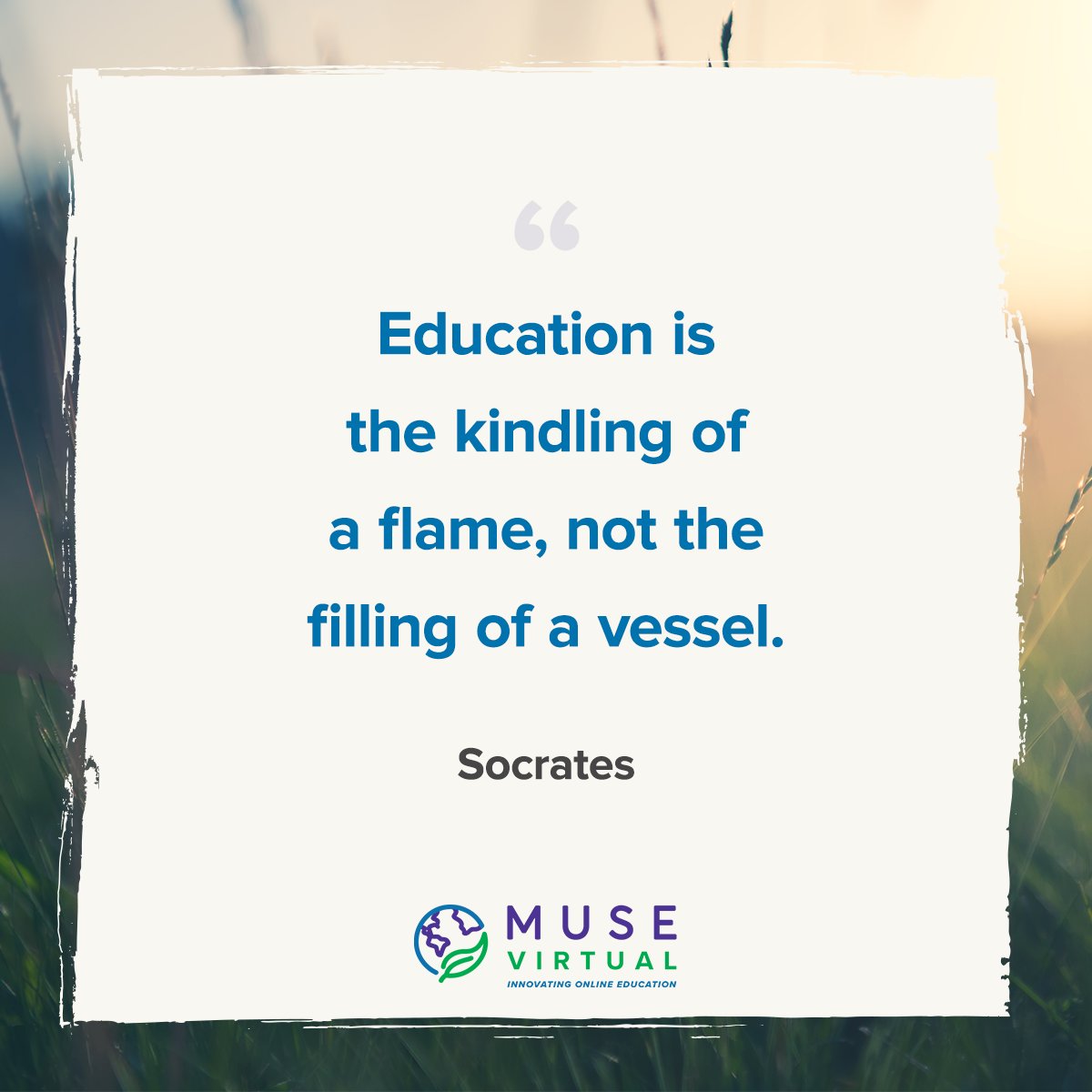 Some ancient wisdom with modern practice. Our passion-based learning keeps our students hungry to learn more.