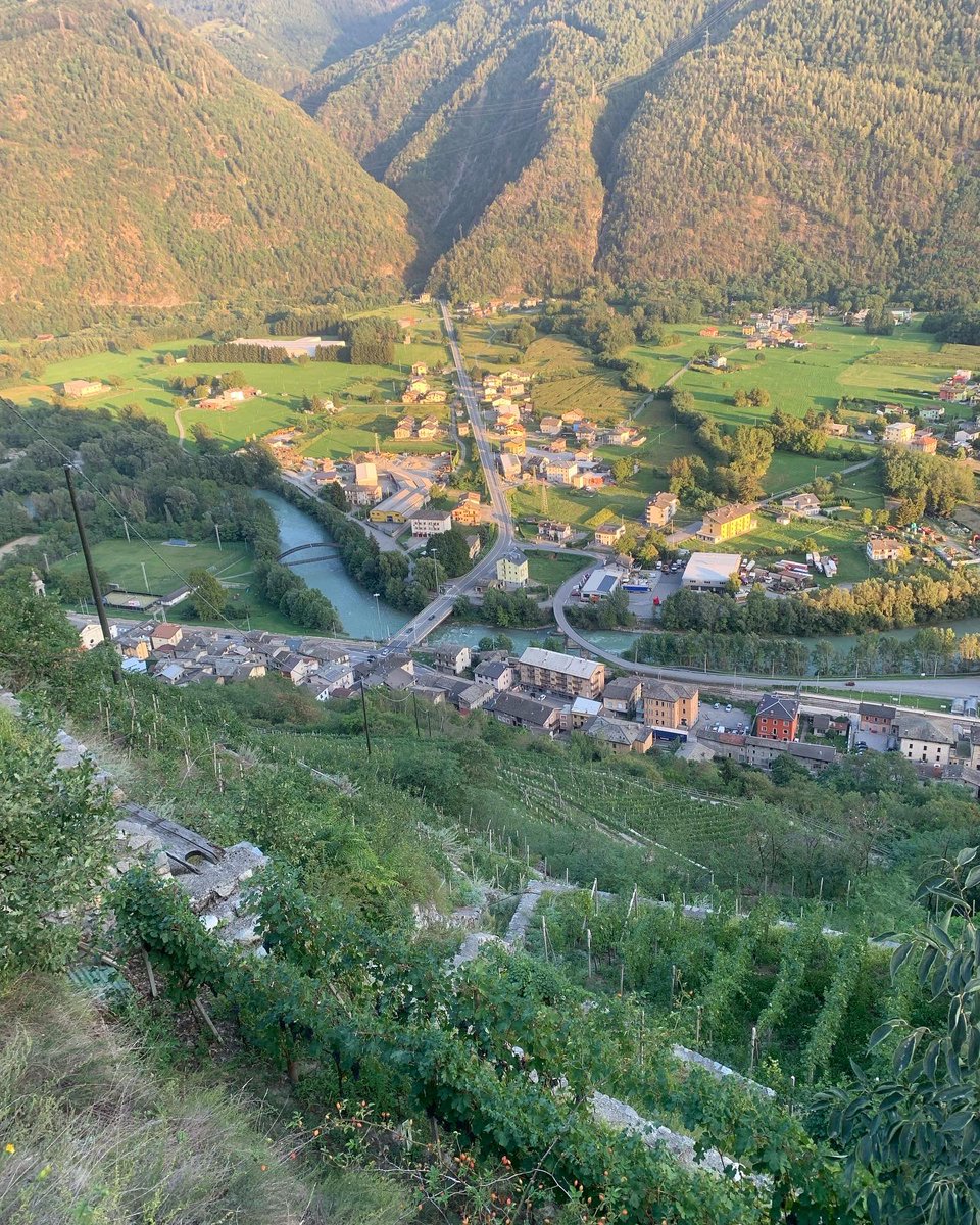 Sara Missaglia tweet media