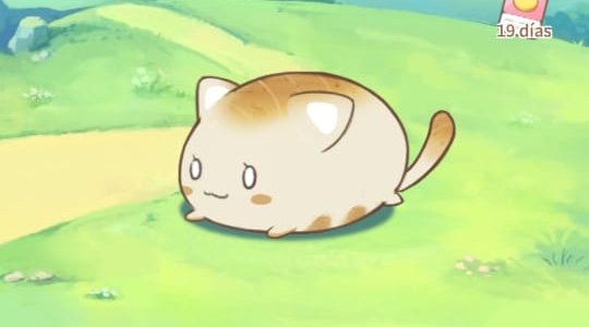 vida_vato's tweet photo. @sugarcollars I prefer a mochigato https://t.co/XOjF5imLAq