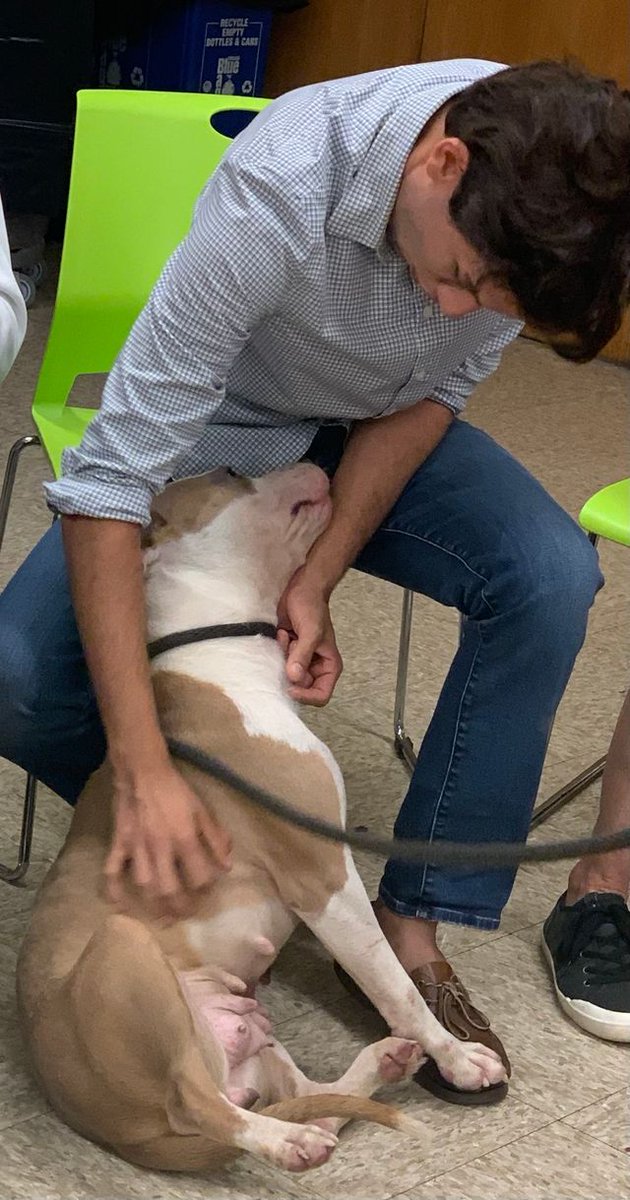 Safe Humane Chicago tweet media