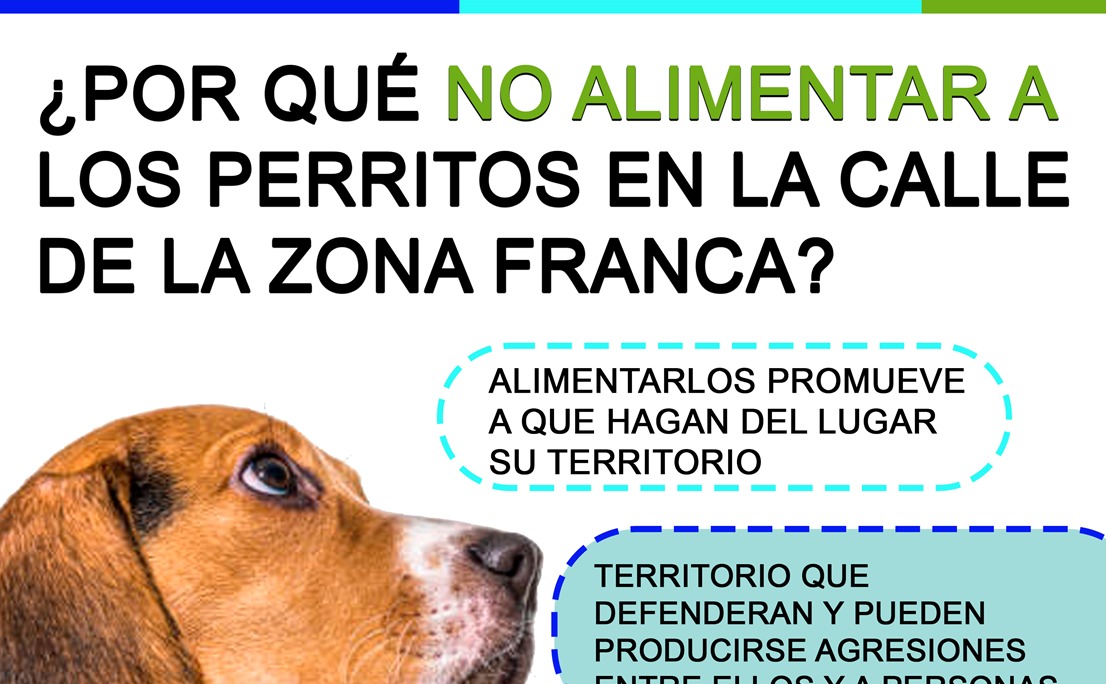 quepatechucho's tweet photo. Con indignación, empleados de ExportSalva nos reportan que la Zona Franca pide dejar de alimentar perros abandonados que los mismos empleados alimentan y rescatan. 

@alcaldiadecolon e @ibaelsalvador ¿pueden ayudar a coordinar campañas de salud, esterilización y adopcion? https://t.co/iST0aYBAFU