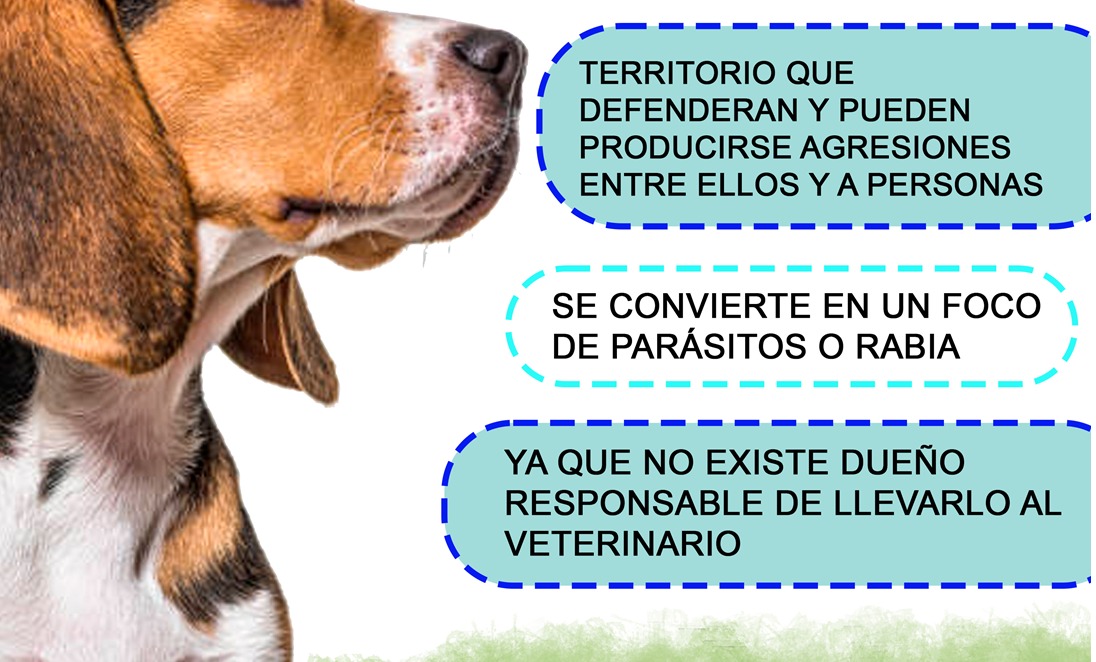quepatechucho's tweet photo. Con indignación, empleados de ExportSalva nos reportan que la Zona Franca pide dejar de alimentar perros abandonados que los mismos empleados alimentan y rescatan. 

@alcaldiadecolon e @ibaelsalvador ¿pueden ayudar a coordinar campañas de salud, esterilización y adopcion? https://t.co/iST0aYBAFU