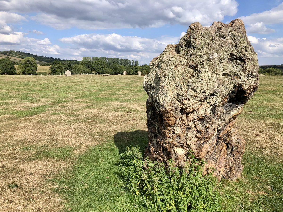 AndrewJVarney's tweet photo. Today I’ve written a motion for Bristol City Council to endorse the #PlantBasedTreaty,  followed by a lovely cycle ride to the second largest stone circle in the British Isles. https://t.co/SdNJw329vS