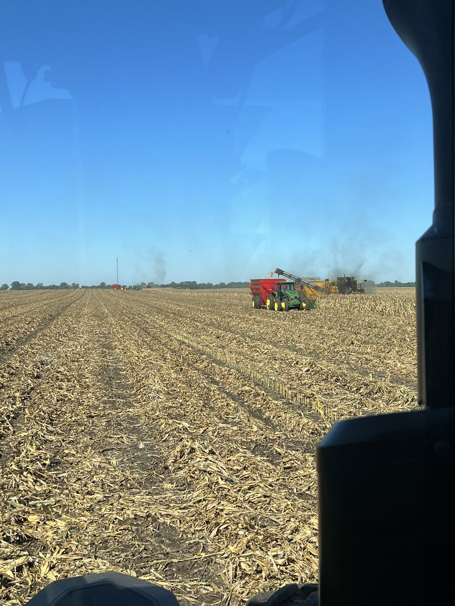 SchutzFarms's tweet photo. Seedcorn harvest has officially started https://t.co/70LxbNfmjm