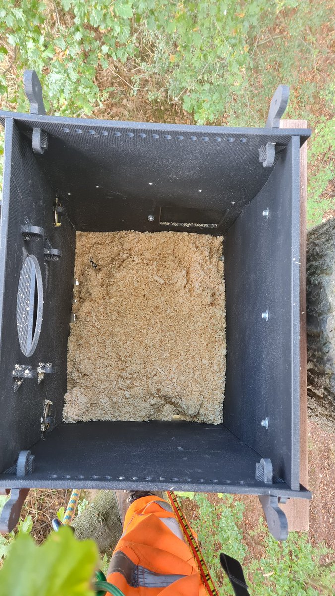 BorealTrees tweet media