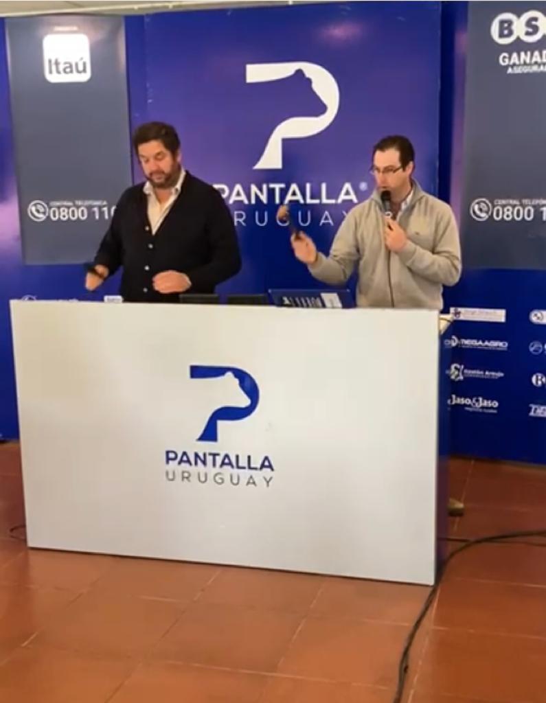 PantallaUruguay's tweet photo. #Lote7 de @jasoyjaso dio el máximo de los terneros, 3,32usd/kg #contado. Pantalla Uruguay...TODO GANADO! https://t.co/sfKpxdJsKO
