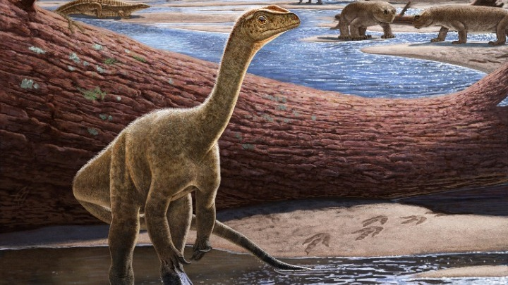 amna_news's tweet photo. Ανακαλύφθηκε ο #Mbiresaurus, ο αρχαιότερος δεινόσαυρος της Αφρικής
https://t.co/6JzSAReQPD
#Dinosaur https://t.co/sTBO6bEsxM