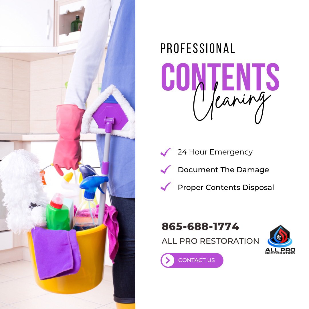 AllProEastTn's tweet photo. 24 Hour Emergency Pack Out Service: 865-688-1774 #emergencyrestoration #contentscleaning #restoration #iicrccertified #easttennessee https://t.co/z6sxTYR7L7