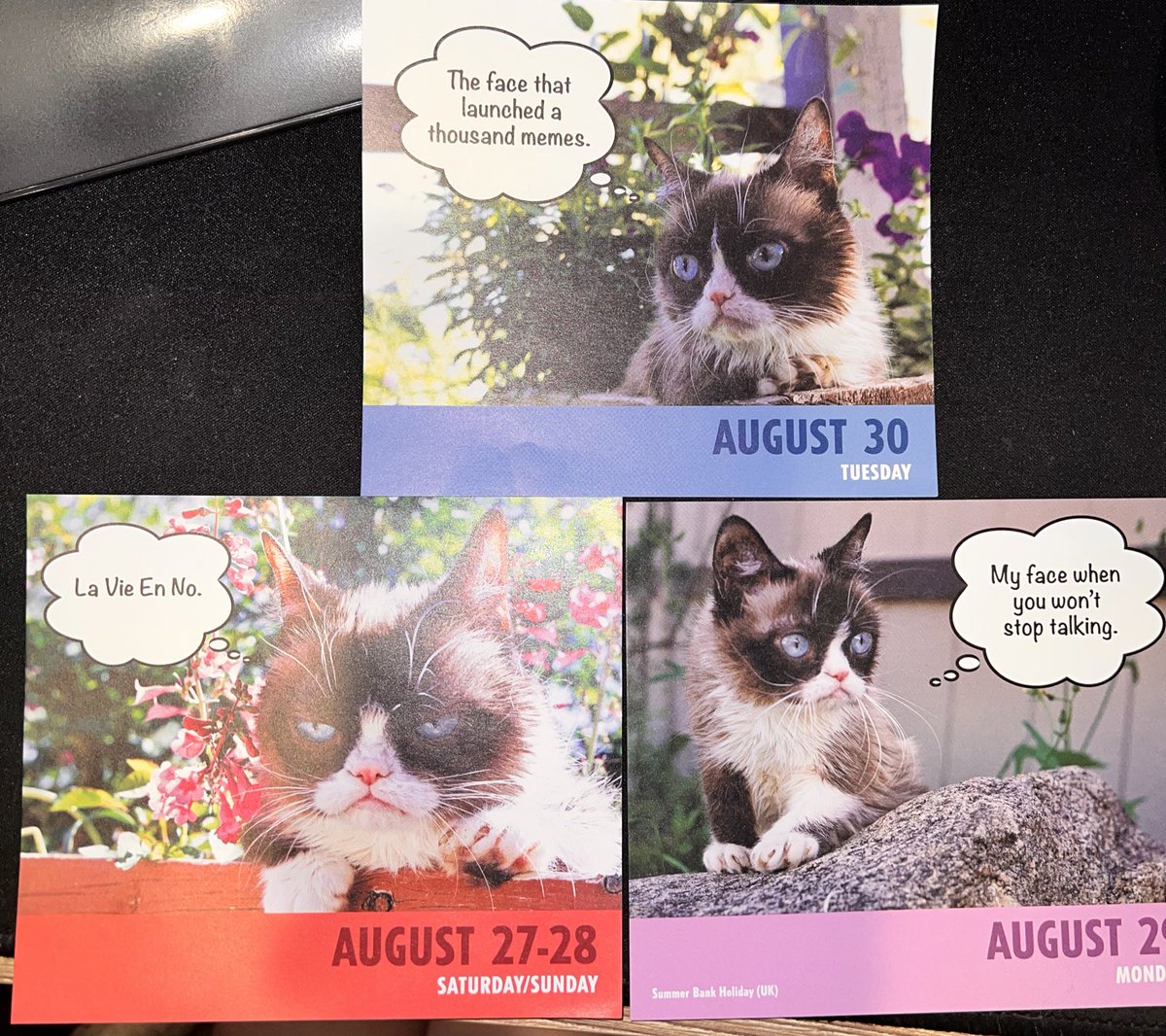 ToreeMcGee's tweet photo. I took the pic and never posted. Standard. #dailygrump #grumpycat https://t.co/LKZ1ApyxQS