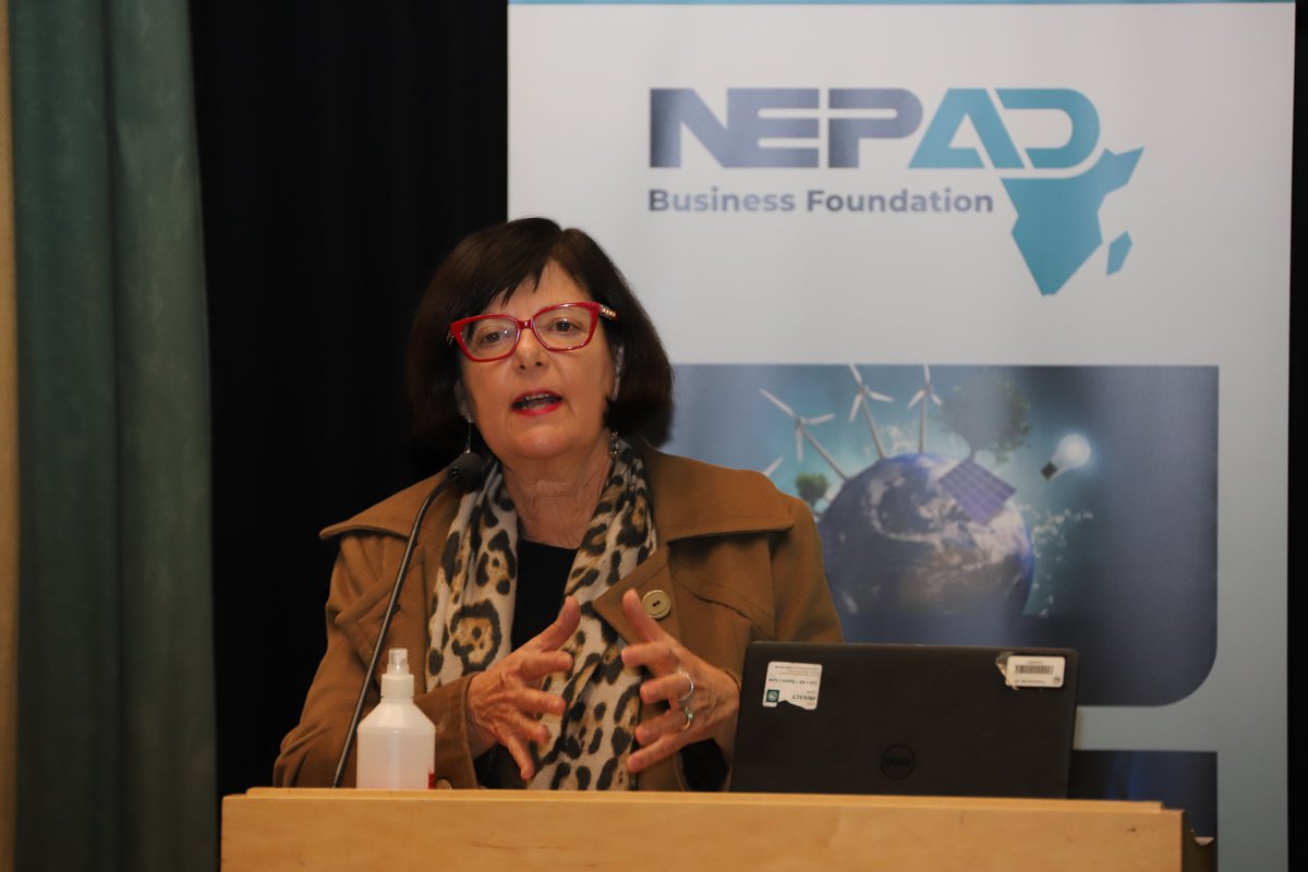 environmentza's tweet image. &quot;We recognise the role of our regional bodies such as SADC Secretariat and NEPAD in advancing our developmental agenda in the context of sustainable development&quot;_Minister Creecy.

@Nedbank #NetworkingForum #JustTransition 
#Greening #SADC #Sustainability 
#ClimateChange