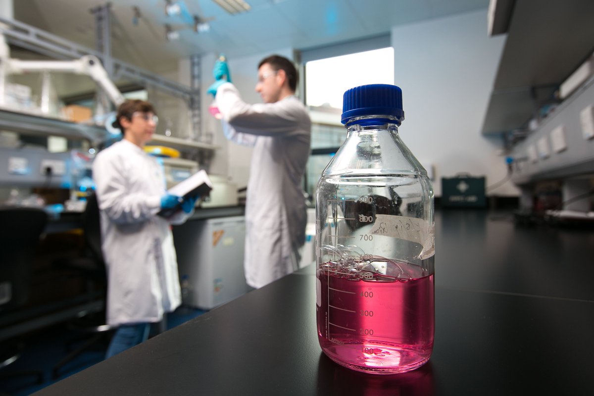 HRCIreland's tweet photo. It's been a really positive week in the HRCI office as we celebrate the success of our member charities in the HRCI/HRB Joint Funding Scheme. In case you missed the announcement, you can find all the successfully funded projects here https://t.co/Xwjx2JVo8M #HealthResearchMatters https://t.co/Is1mszK5j4
