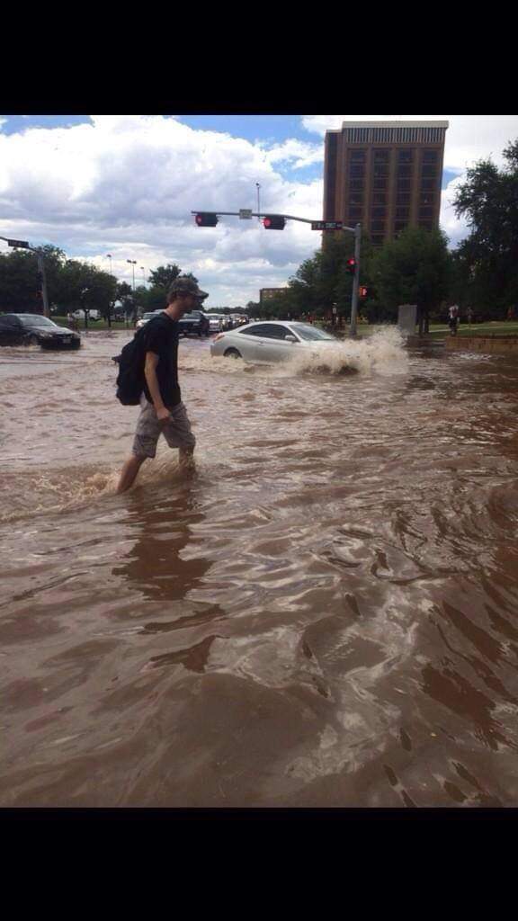 lynn lauderback 🌵 tweet media