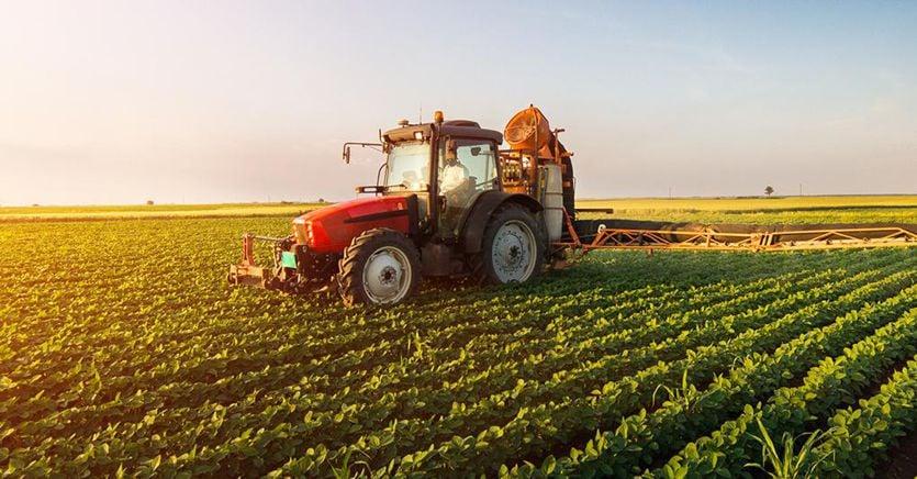 sole24ore's tweet photo. 🔸 #Pac, ok da #Bruxelles ai primi 7 #Piani nazionali della nuova #Politica agricola comune: https://t.co/KwosYBhRZy https://t.co/oxKCL6EvUi