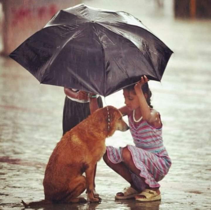 As long as there is goodness in man, there is no greatness that he cannot reach. Man is as big as his heart...