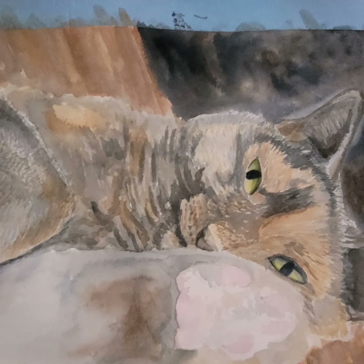 KhioriCreative's tweet photo. Hello everyone, I've been working on a new pet portrait! It should be done today so keep an eye out for tomorrows post,  it's going to be awesome. 😁
.
.
.
#wip #workinprogress #watercolor #watecolorpainting #catart #pencildrawing #khioricreative #khiori https://t.co/DyHpWbZYPK