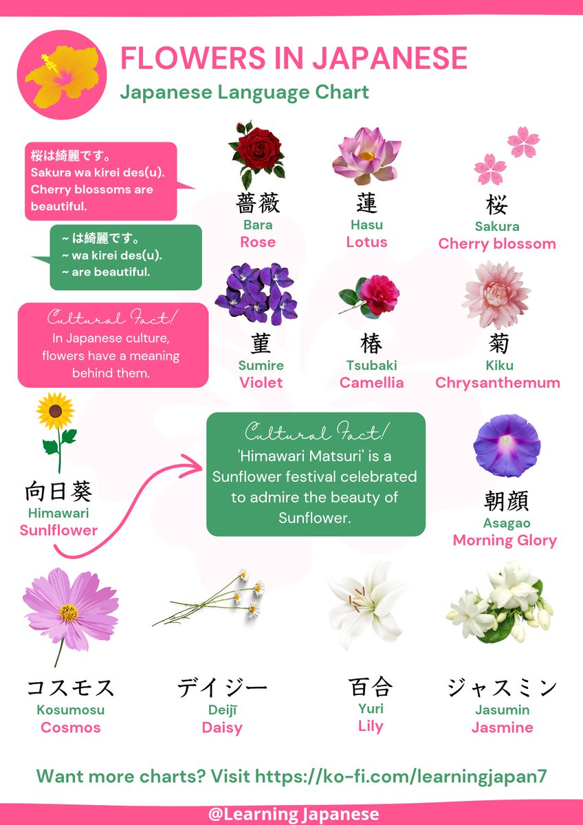 @Learning Japanese 🇯🇵 tweet media